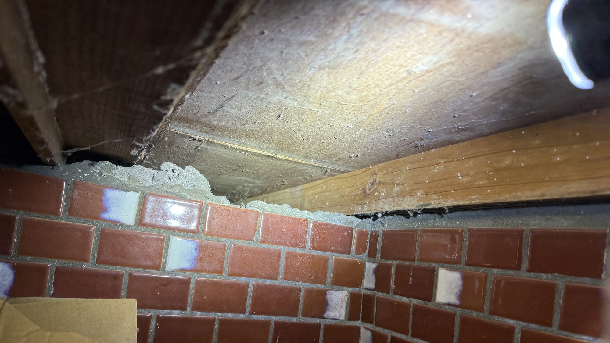 古民家で猫が消えたら