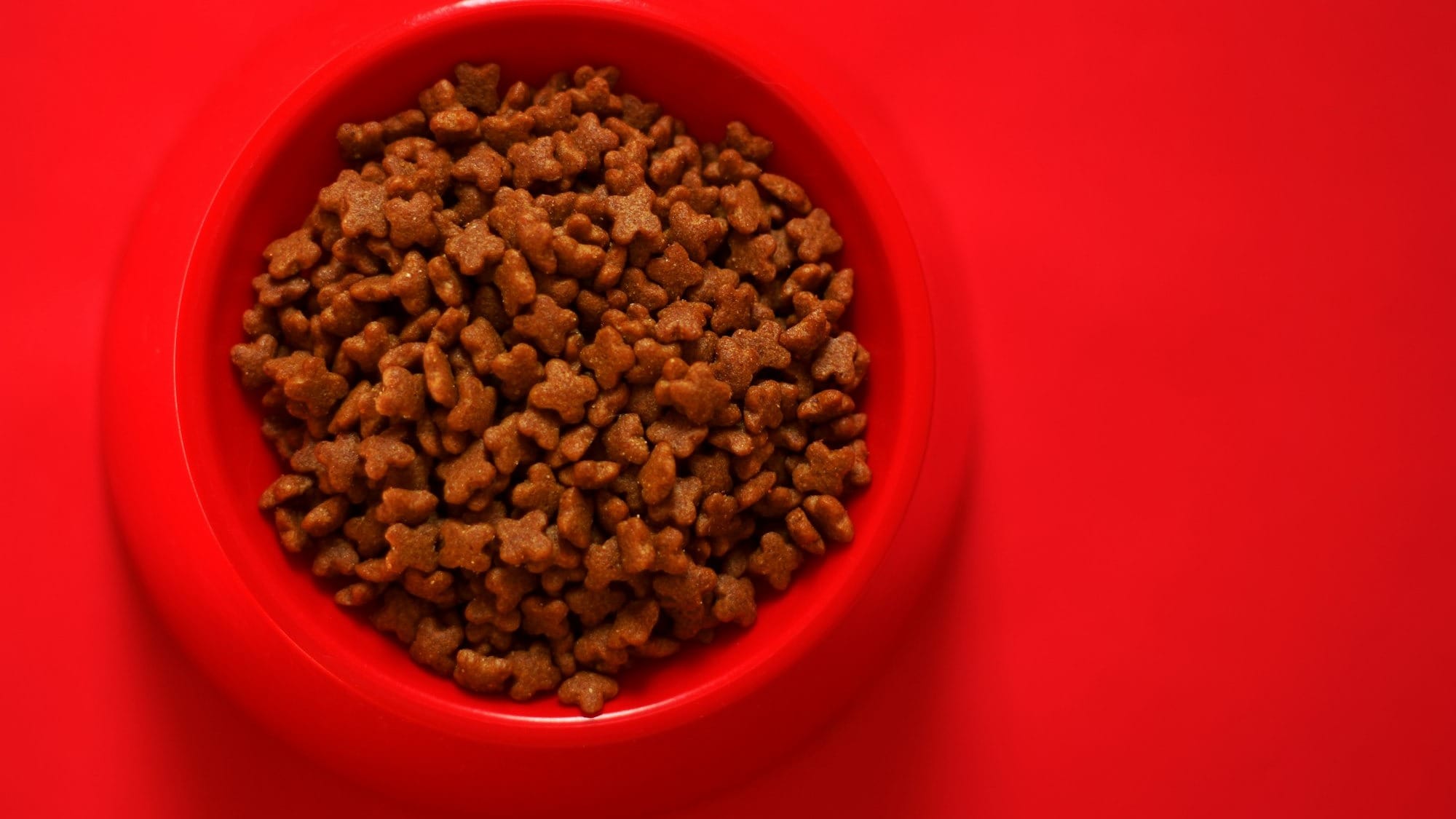 XiaomiのSmart Pet Food Feeder 2で遊ぶ